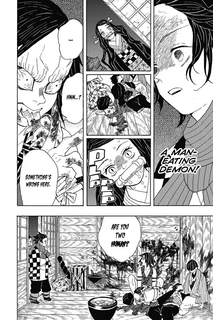Demon Slayer Chapter 2 image 10_optimized